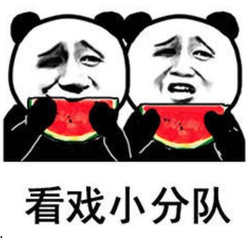 娱乐吃瓜音乐叫什么来着,揭秘流行乐坛的“瓜田”奇闻  第3张